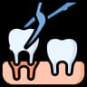 Tooth Extractions